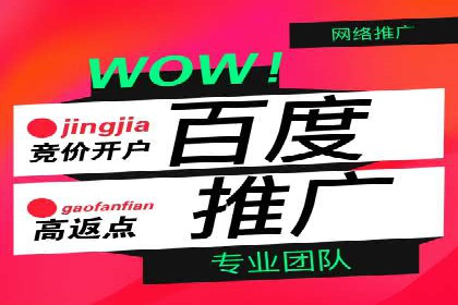 SEM托管服务实战案例：打造高效广告投放策略